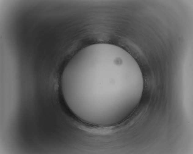 X0000102280032200808081511