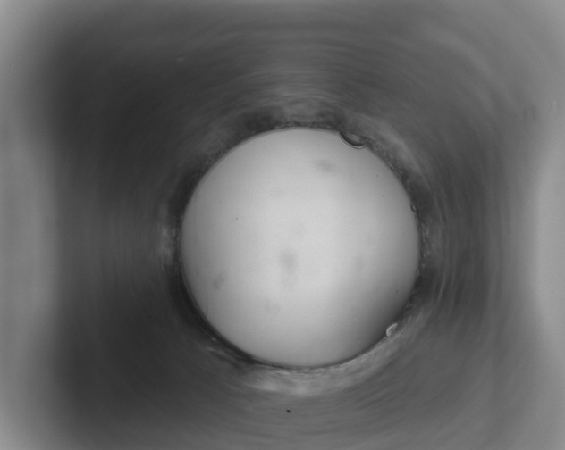 X0000102280033200808081511