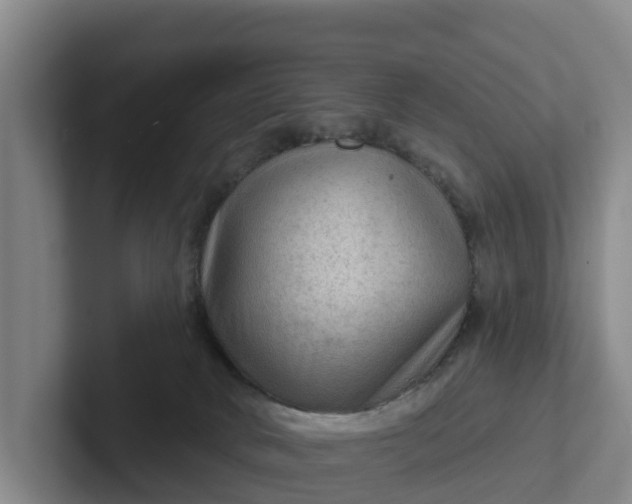 X0000102280034200808081511