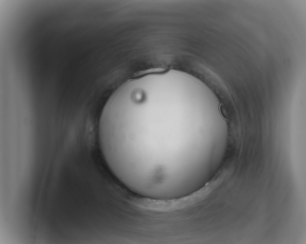 X0000102280037200808081511