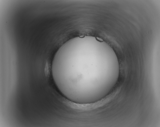 X0000102280038200808081511