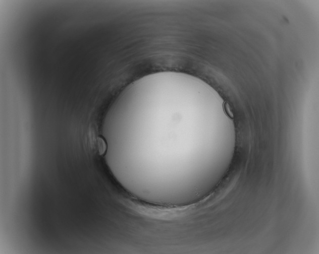 X0000102280040200808081511