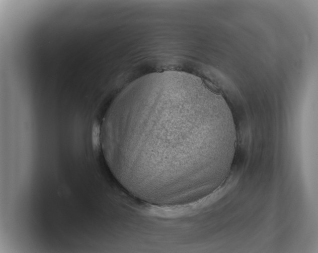 X0000102280041200808081511