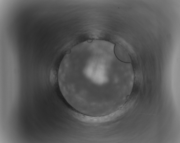 X0000102280043200808081511