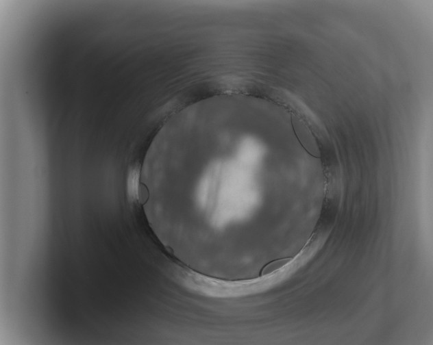 X0000102280047200808081511