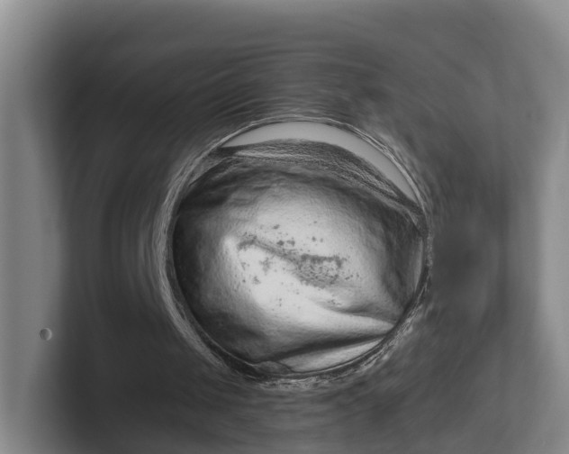 X0000102280049200808081510