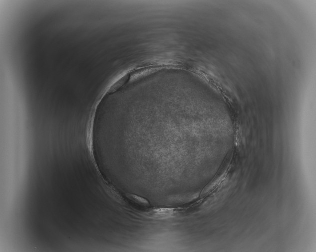 X0000102280052200808081510