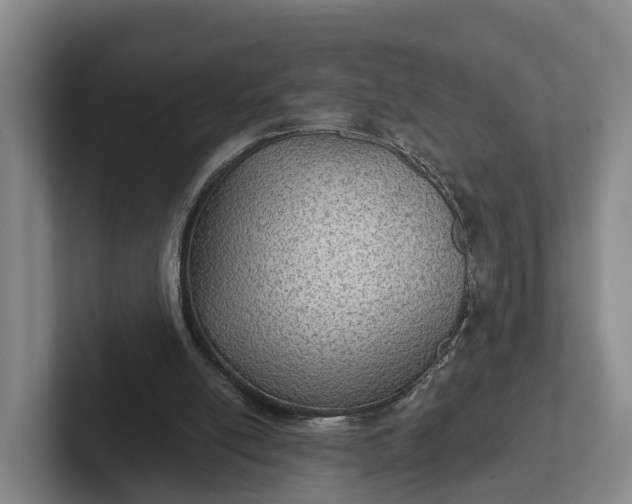 X0000102280054200808081510