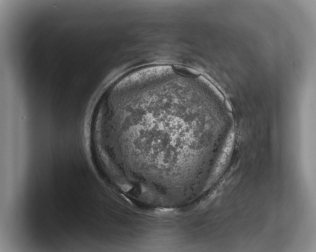 X0000102280055200808081510