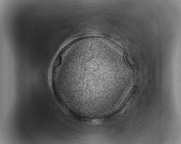 X0000102280056200808081511