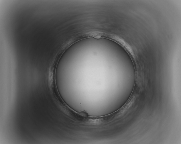 X0000102280057200808081511