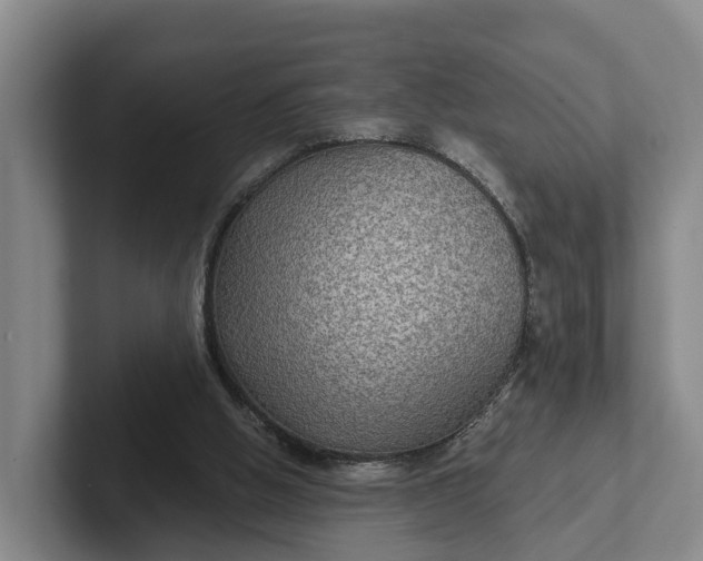 X0000102280058200808081511