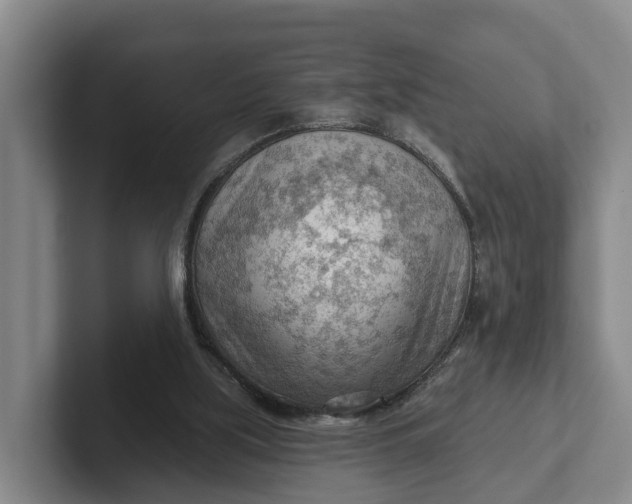 X0000102280059200808081511