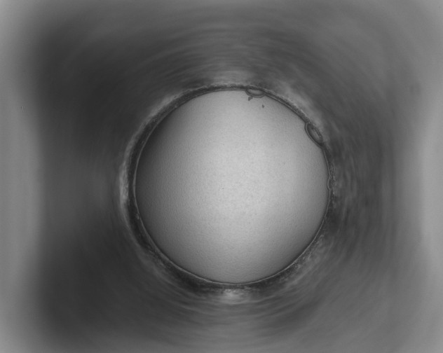 X0000102280060200808081511