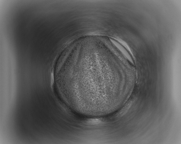 X0000102280061200808081511