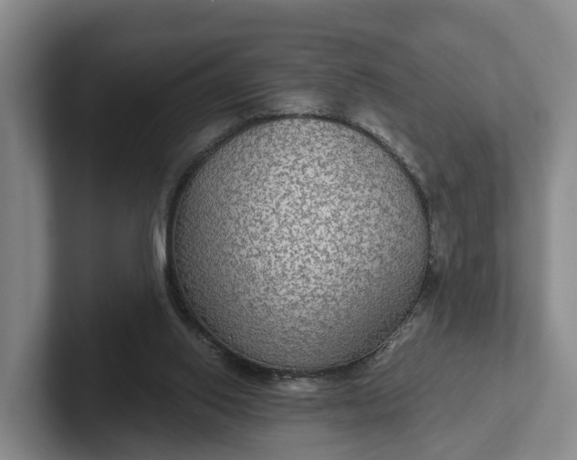 X0000102280062200808081511