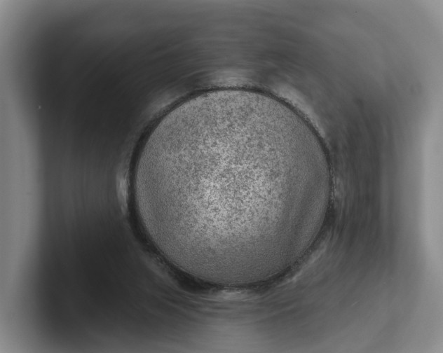 X0000102280063200808081511