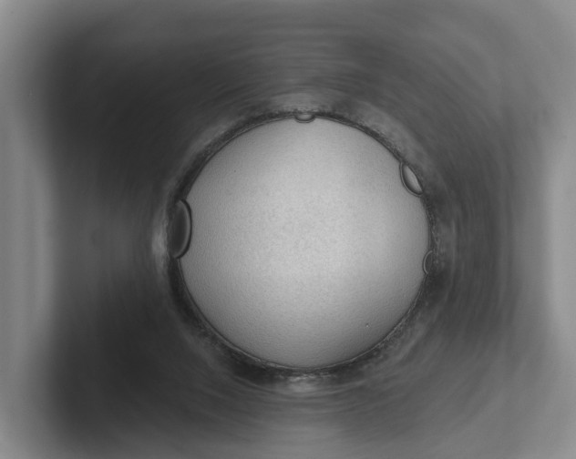 X0000102280064200808081511