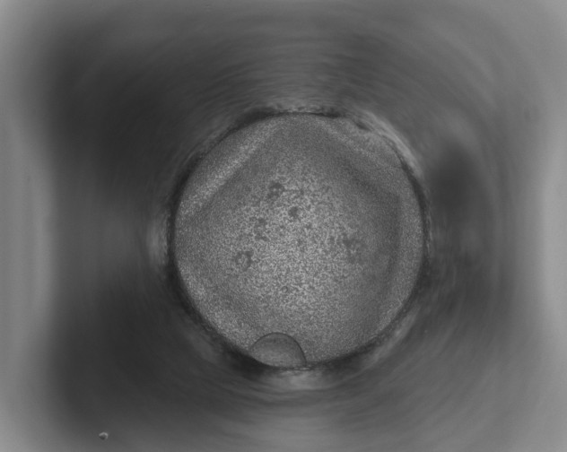 X0000102280065200808081511