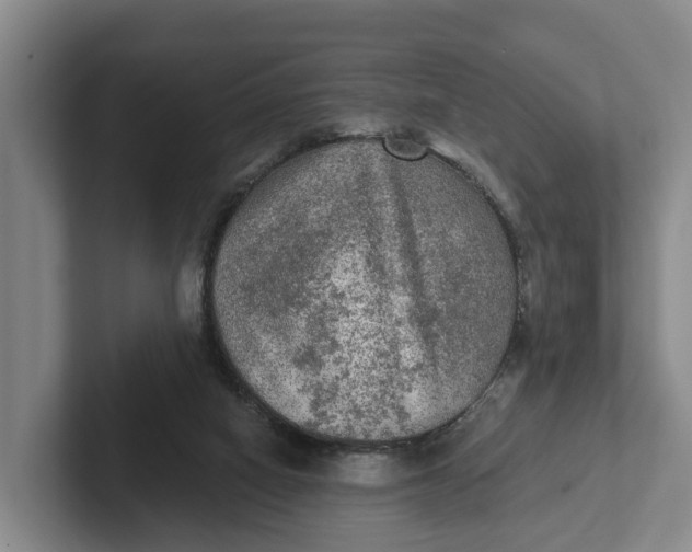 X0000102280066200808081511