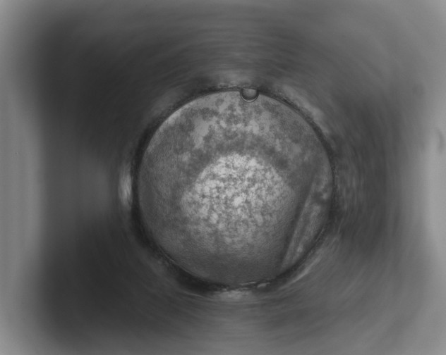 X0000102280067200808081511