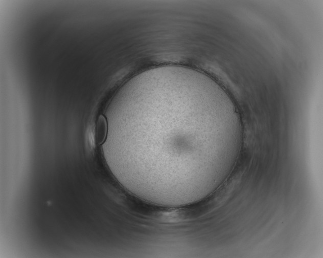 X0000102280068200808081511