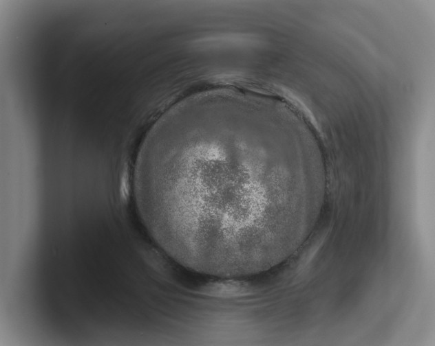 X0000102280069200808081511