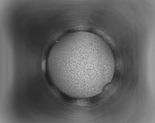 X0000102280070200808081511