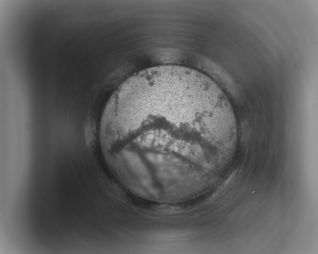 X0000102280073200808081511