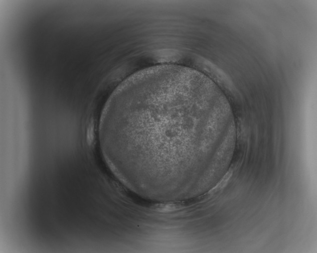 X0000102280074200808081511