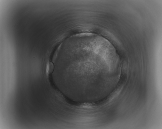 X0000102280076200808081511