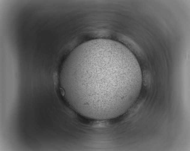 X0000102280077200808081511