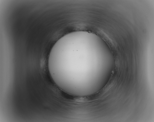 X0000102280079200808081511