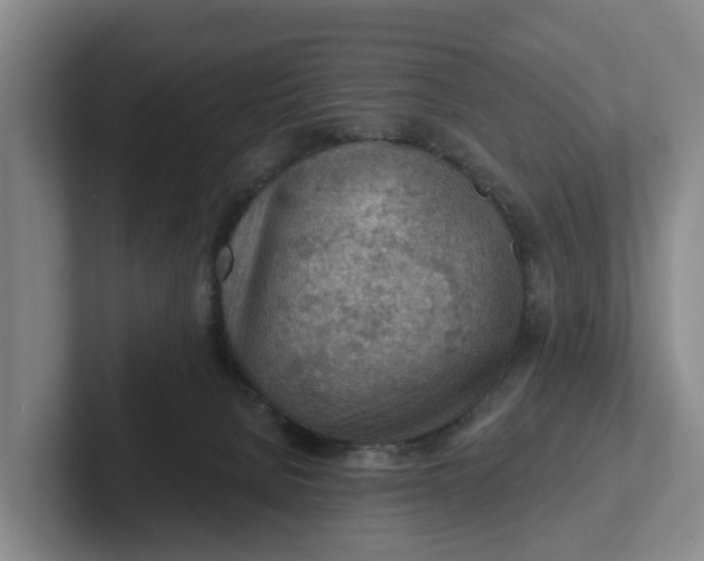 X0000102280080200808081511