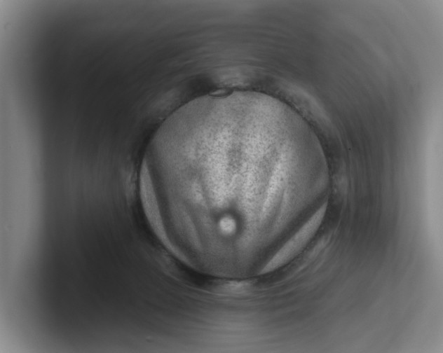 X0000102280081200808081511