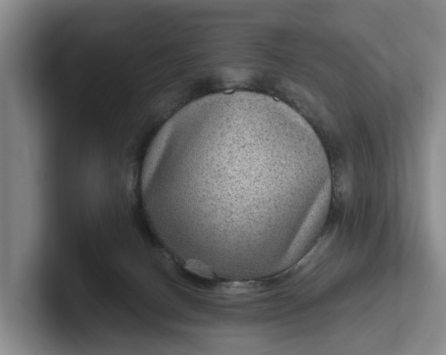 X0000102280082200808081511