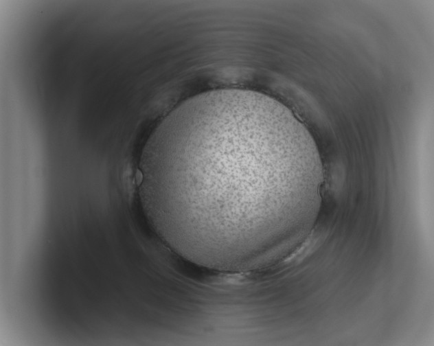 X0000102280086200808081511