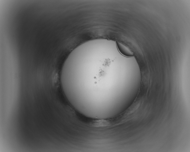 X0000102280087200808081511