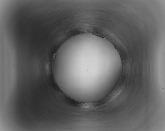 X0000102280088200808081511