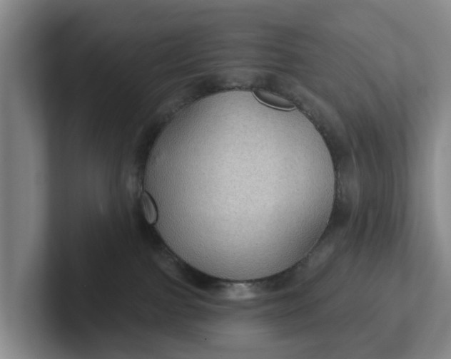 X0000102280091200808081511