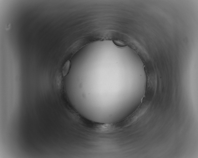 X0000102280092200808081511