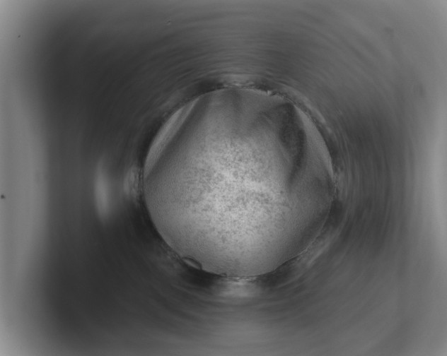 X0000102280093200808081511