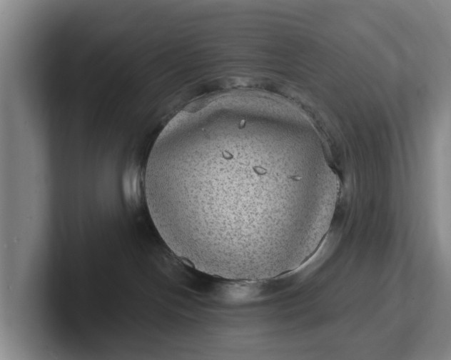 X0000102280094200808081511