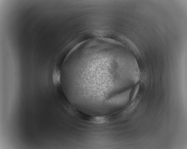 X0000102280095200808081511