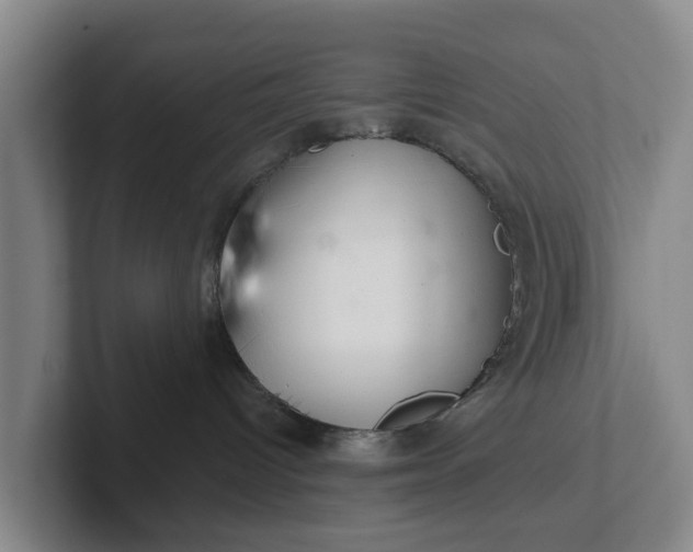 X0000102280096200808081511