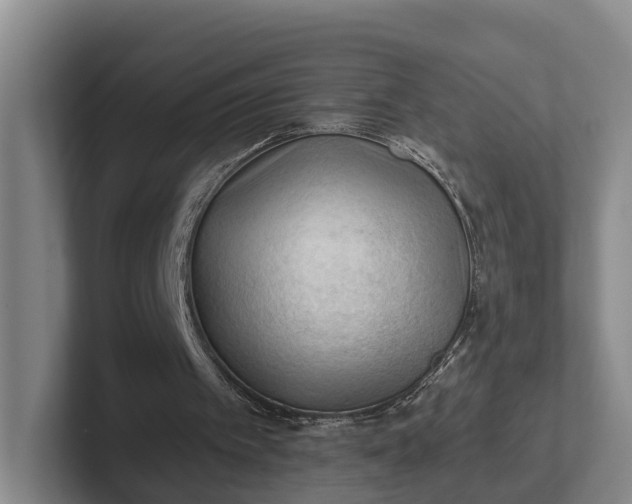 X0000102280097200808081510