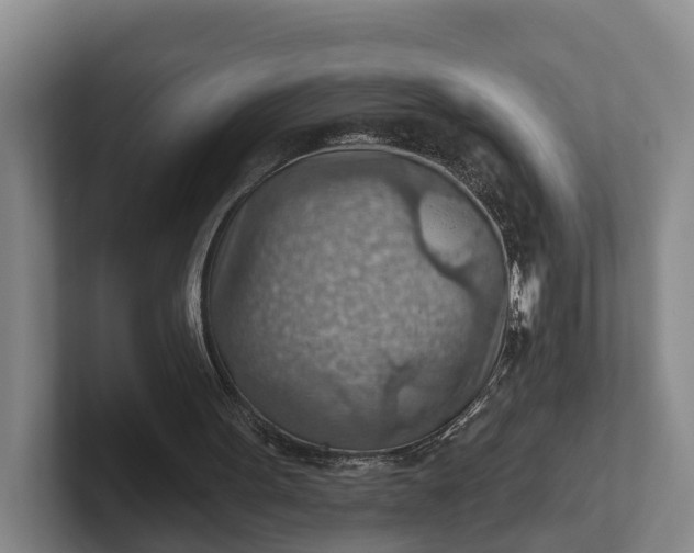 X0000102280099200808081510