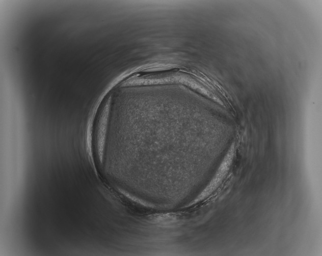 X0000102280100200808081510