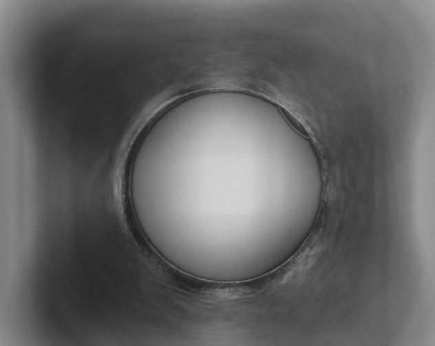 X0000102280103200808081510