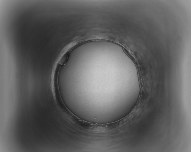 X0000102280104200808081510